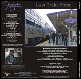 LAST TRAIN HOME Double Blue Vinyl LP